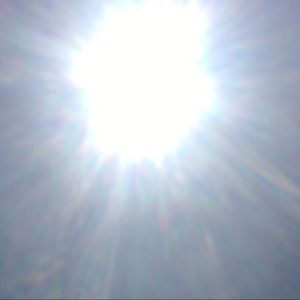 Meet your Posher, Lily